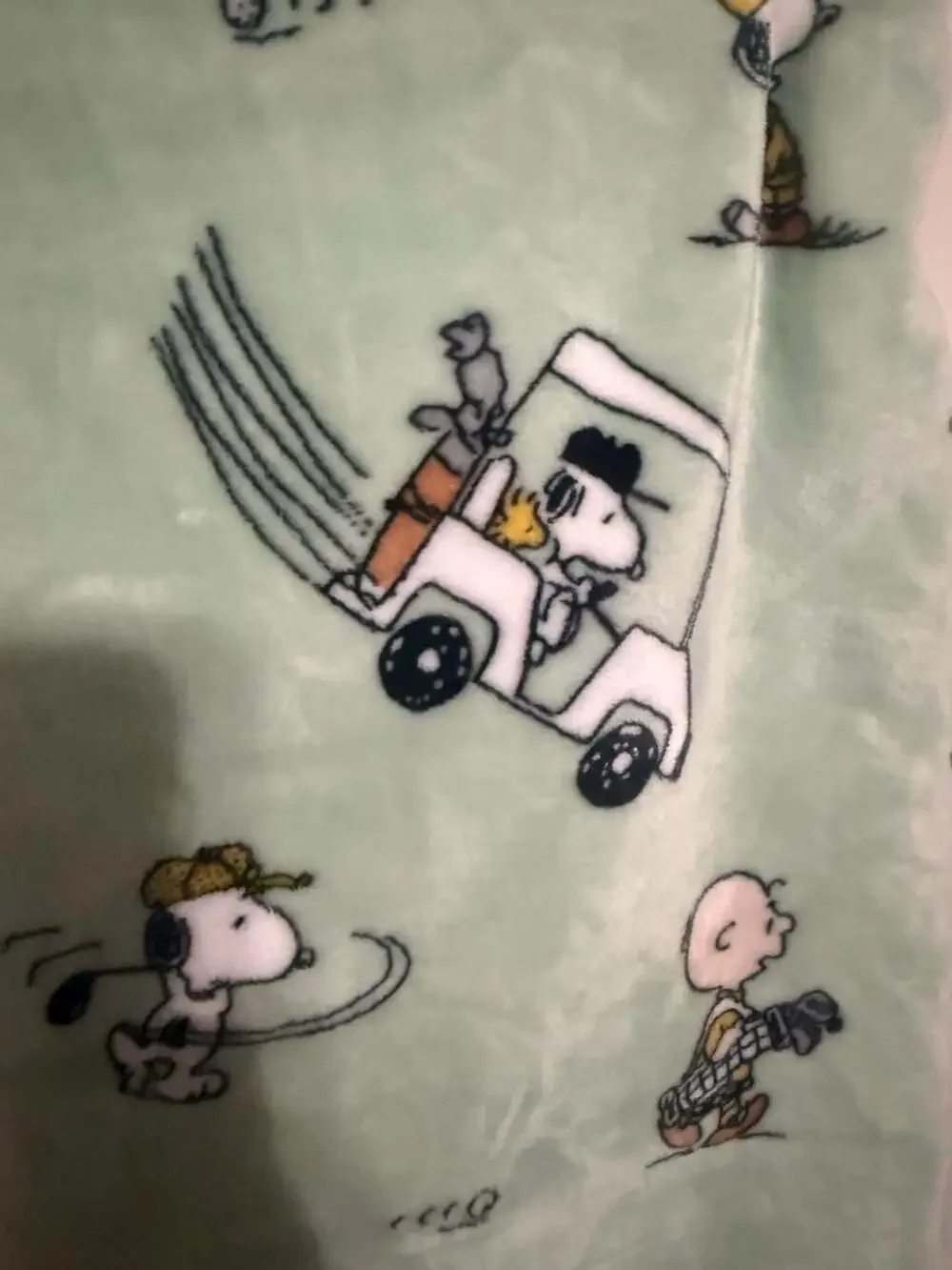 Peanuts Snoopy & Charlie Brown Sports Golf VelvetLoft  Throw Blanket 60x70